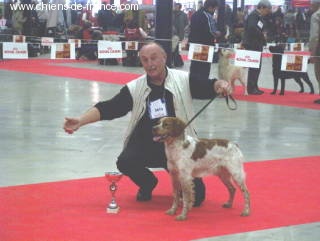 Du domaine de fayet - Exposition Vincennes - Paris Dog Show